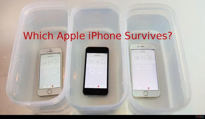 Apple iPhone 5S (64GB) photo 5